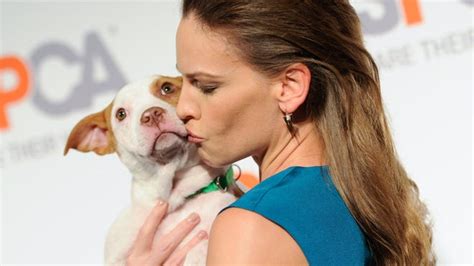 Fact check: Widely shared post on ASPCA distorts its spending .